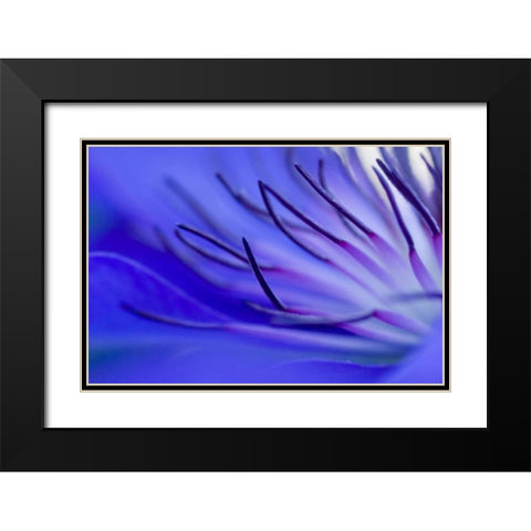Blue arms Black Modern Wood Framed Art Print with Double Matting by Riedt, Kirsten