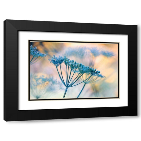 Summer dreams II Black Modern Wood Framed Art Print with Double Matting by Riedt, Kirsten