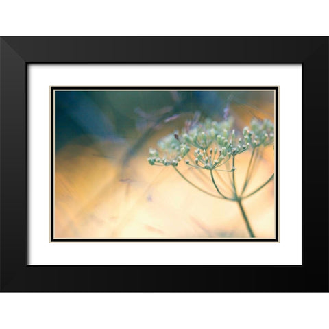 Summer dreams I Black Modern Wood Framed Art Print with Double Matting by Riedt, Kirsten