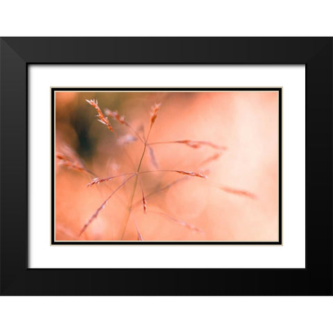 Wild summer I Black Modern Wood Framed Art Print with Double Matting by Riedt, Kirsten