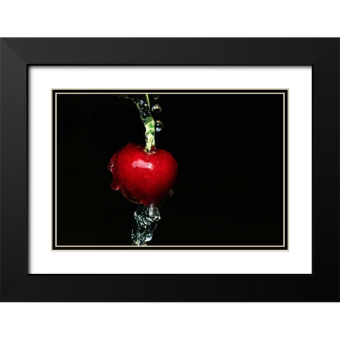 Kirsche Black Modern Wood Framed Art Print with Double Matting by Riedt, Kirsten