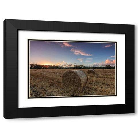 Herbst im Norden Black Modern Wood Framed Art Print with Double Matting by Scholz, Markus