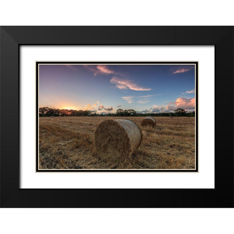 Herbst im Norden Black Modern Wood Framed Art Print with Double Matting by Scholz, Markus