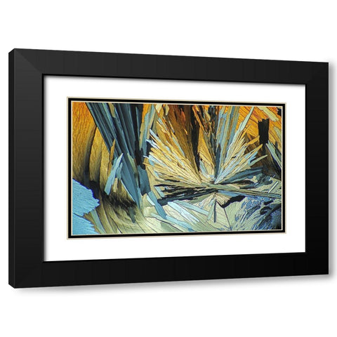 BernsteinsÃ¤ure Black Modern Wood Framed Art Print with Double Matting by Juzak, Peter