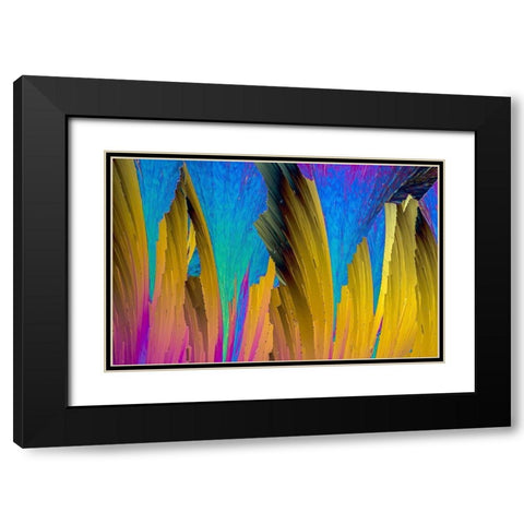 Paracetamol Black Modern Wood Framed Art Print with Double Matting by Juzak, Peter