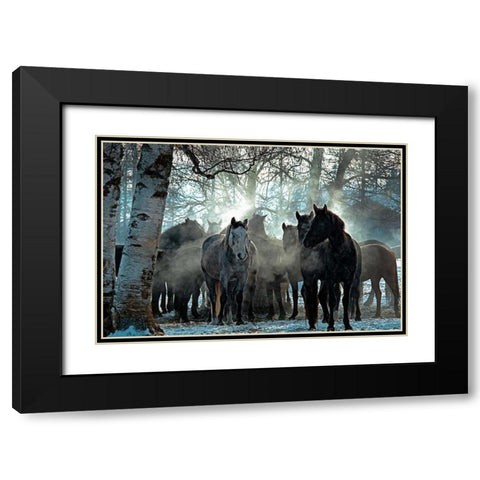 Horses in the Mist Black Modern Wood Framed Art Print with Double Matting by Stalowy, John