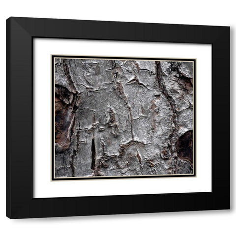 Tree Bark Black Modern Wood Framed Art Print with Double Matting by Stalowy, John