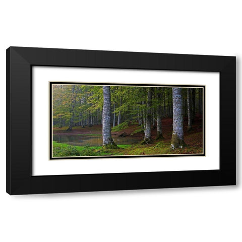Forest 801 Black Modern Wood Framed Art Print with Double Matting by Palacios, J.A.