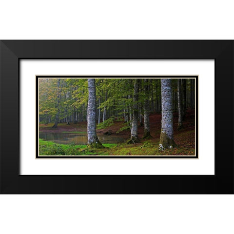 Forest 801 Black Modern Wood Framed Art Print with Double Matting by Palacios, J.A.
