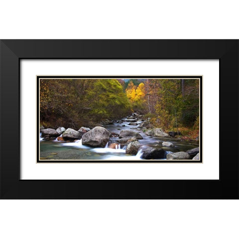 Forest and river 802 Black Modern Wood Framed Art Print with Double Matting by Palacios, J.A.