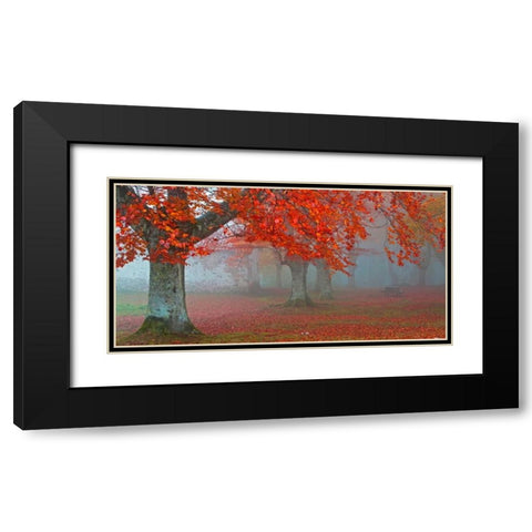 Red forest 804 Black Modern Wood Framed Art Print with Double Matting by Palacios, J.A.