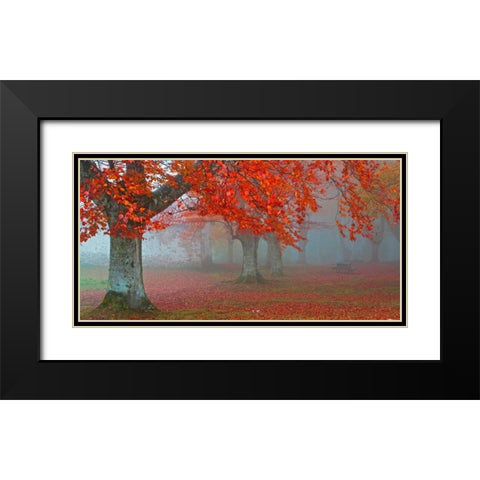 Red forest 804 Black Modern Wood Framed Art Print with Double Matting by Palacios, J.A.