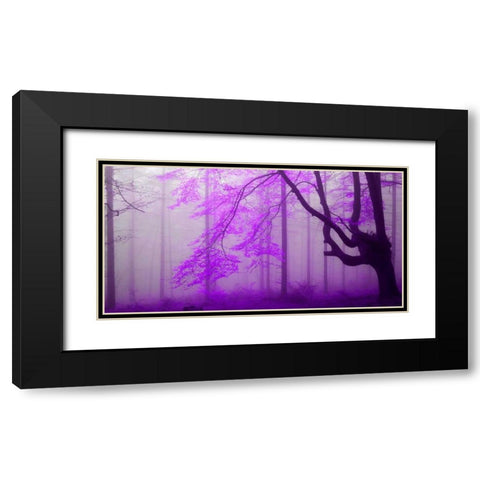 Lilac forest 808 Black Modern Wood Framed Art Print with Double Matting by Palacios, J.A.