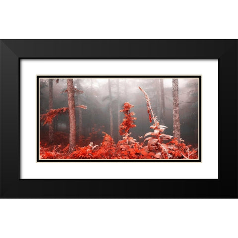 Red forest 809 Black Modern Wood Framed Art Print with Double Matting by Palacios, J.A.