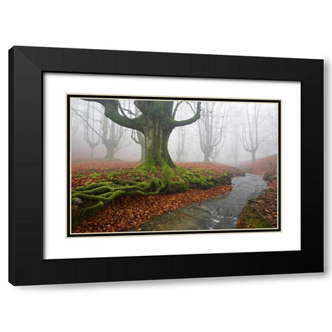 Forest 817 Black Modern Wood Framed Art Print with Double Matting by Palacios, J.A.