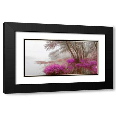 Foggy swamp 838 Black Modern Wood Framed Art Print with Double Matting by Palacios, J.A.