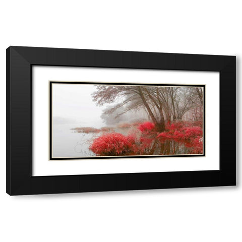 Foggy swamp 837 Black Modern Wood Framed Art Print with Double Matting by Palacios, J.A.