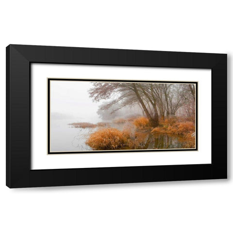 Foggy swamp 836 Black Modern Wood Framed Art Print with Double Matting by Palacios, J.A.