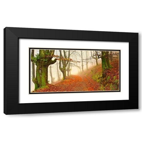 Orange forest leaves 826 Black Modern Wood Framed Art Print with Double Matting by Palacios, J.A.