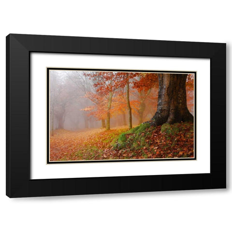 Millennial tree 823 Black Modern Wood Framed Art Print with Double Matting by Palacios, J.A.