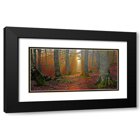 Forest and sunbeam 820 Black Modern Wood Framed Art Print with Double Matting by Palacios, J.A.