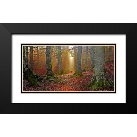 Forest and sunbeam 820 Black Modern Wood Framed Art Print with Double Matting by Palacios, J.A.