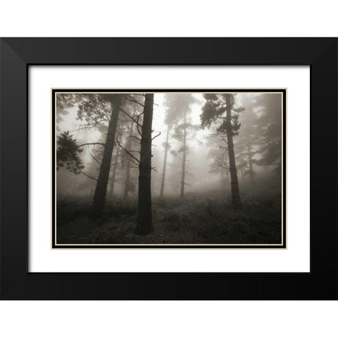 Invasion Black Modern Wood Framed Art Print with Double Matting by Vera, Urtzi
