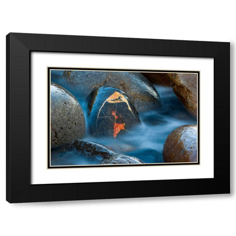 The jewel Black Modern Wood Framed Art Print with Double Matting by Vera, Urtzi