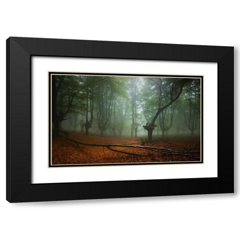 Spring II Black Modern Wood Framed Art Print with Double Matting by Vera, Urtzi