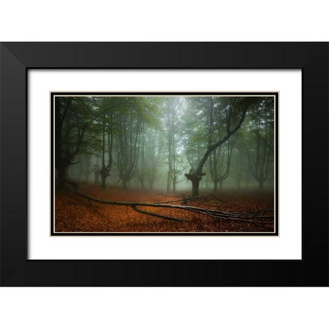 Spring II Black Modern Wood Framed Art Print with Double Matting by Vera, Urtzi