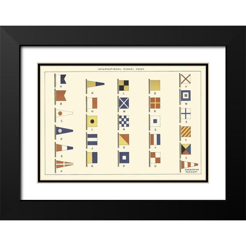 Nautilus VI Black Modern Wood Framed Art Print with Double Matting by Unknown