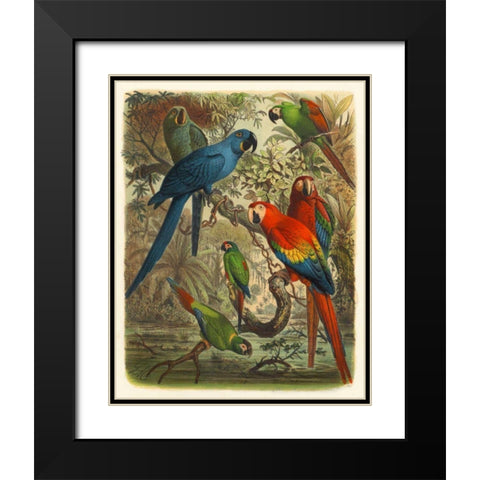 Cassel Tropical Birds III Black Modern Wood Framed Art Print with Double Matting by Cassel