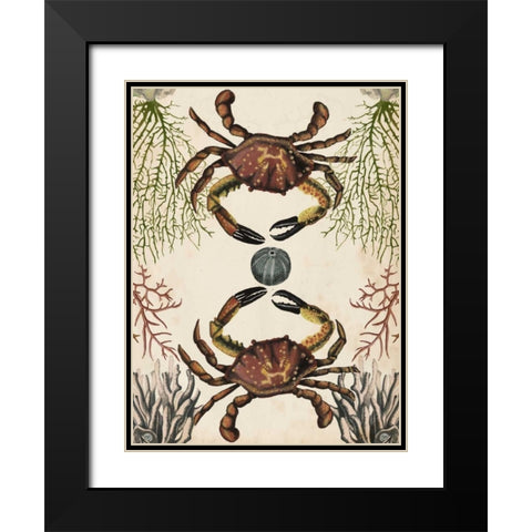Antiquarian Menagerie - Crab Black Modern Wood Framed Art Print with Double Matting by McCavitt, Naomi