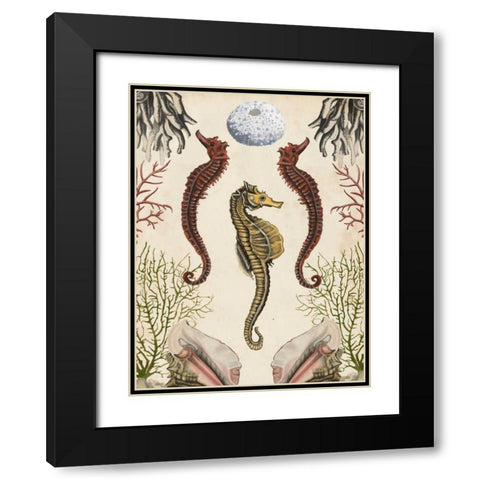 Antiquarian Menagerie - Seahorse Black Modern Wood Framed Art Print with Double Matting by McCavitt, Naomi