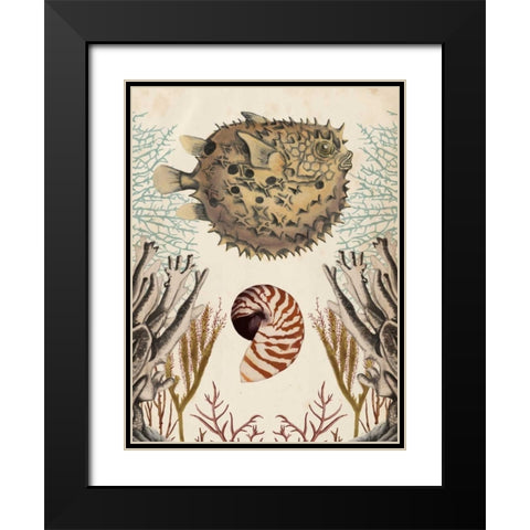 Antiquarian Menagerie - Puffer Fish Black Modern Wood Framed Art Print with Double Matting by McCavitt, Naomi
