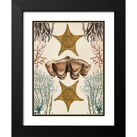 Antiquarian Menagerie - Starfish Black Modern Wood Framed Art Print with Double Matting by McCavitt, Naomi