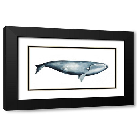 Whale Portrait III Black Modern Wood Framed Art Print with Double Matting by Popp, Grace