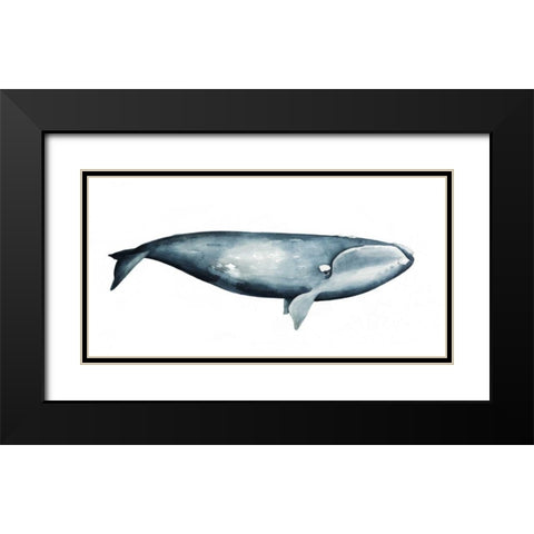 Whale Portrait III Black Modern Wood Framed Art Print with Double Matting by Popp, Grace