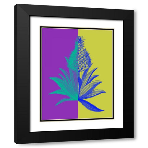 Pineapple Mix II Black Modern Wood Framed Art Print with Double Matting by Fagalde, Jarman