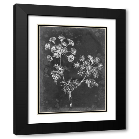Slate Floral I Black Modern Wood Framed Art Print with Double Matting by Harper, Ethan
