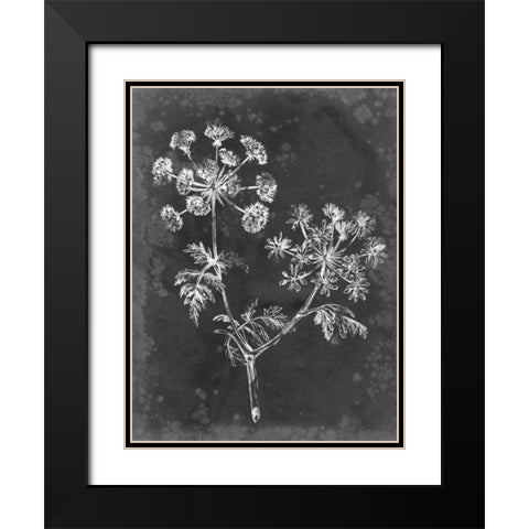 Slate Floral I Black Modern Wood Framed Art Print with Double Matting by Harper, Ethan