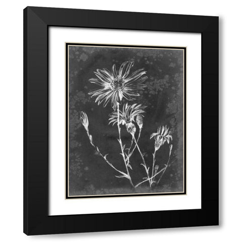 Slate Floral III Black Modern Wood Framed Art Print with Double Matting by Harper, Ethan