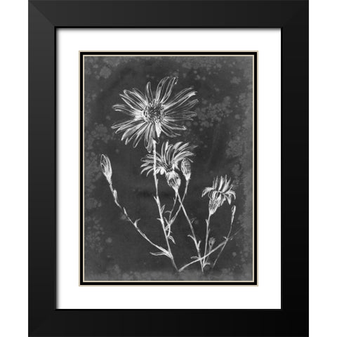 Slate Floral III Black Modern Wood Framed Art Print with Double Matting by Harper, Ethan