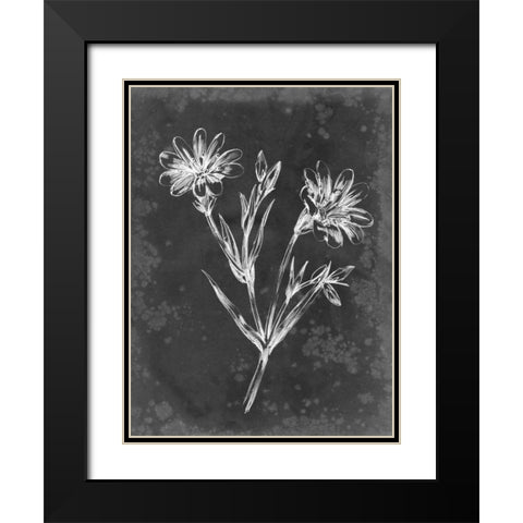 Slate Floral IV Black Modern Wood Framed Art Print with Double Matting by Harper, Ethan