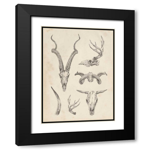 Skull and Antler Study I Black Modern Wood Framed Art Print with Double Matting by Harper, Ethan