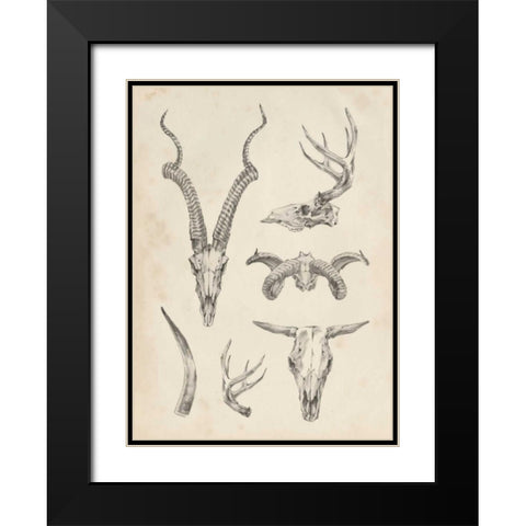 Skull and Antler Study I Black Modern Wood Framed Art Print with Double Matting by Harper, Ethan