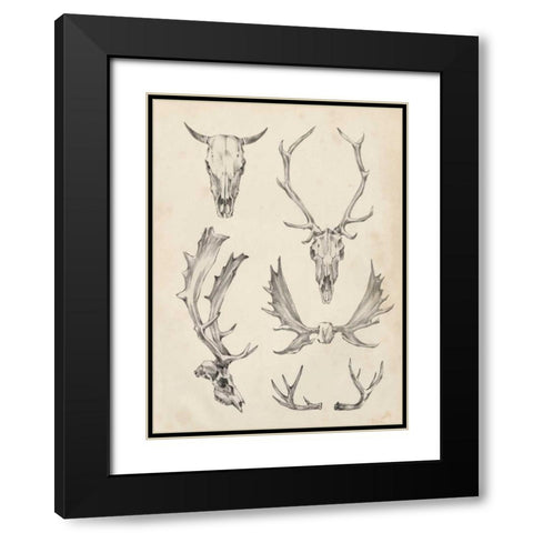 Skull and Antler Study II Black Modern Wood Framed Art Print with Double Matting by Harper, Ethan