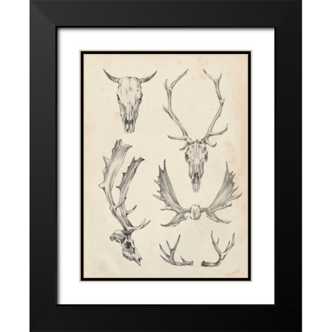 Skull and Antler Study II Black Modern Wood Framed Art Print with Double Matting by Harper, Ethan