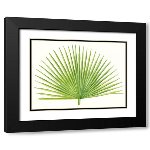 Tropical Breeze Leaves III Black Modern Wood Framed Art Print with Double Matting by McCavitt, Naomi