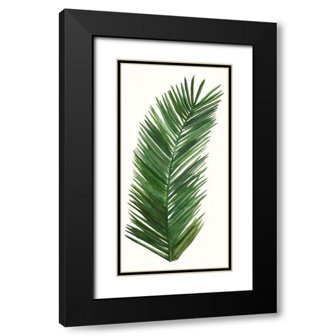Tropical Breeze Leaves V Black Modern Wood Framed Art Print with Double Matting by McCavitt, Naomi